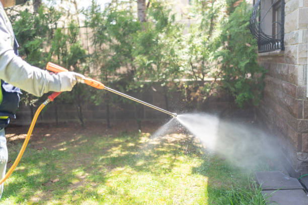 Best Wasp Removal Services  in Bladenboro, NC