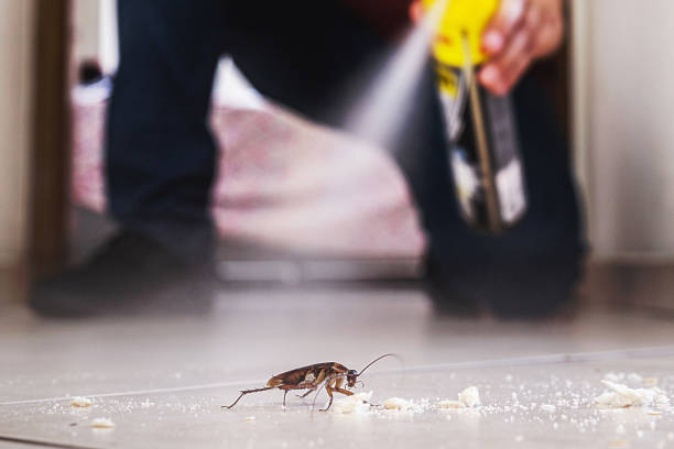 Flea Control Services in Bladenboro, NC